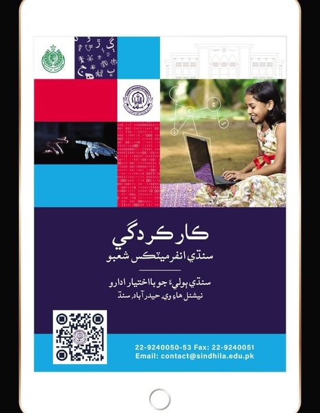 ڪارڪردگي - سنڌي انفرميٽڪس شعبو